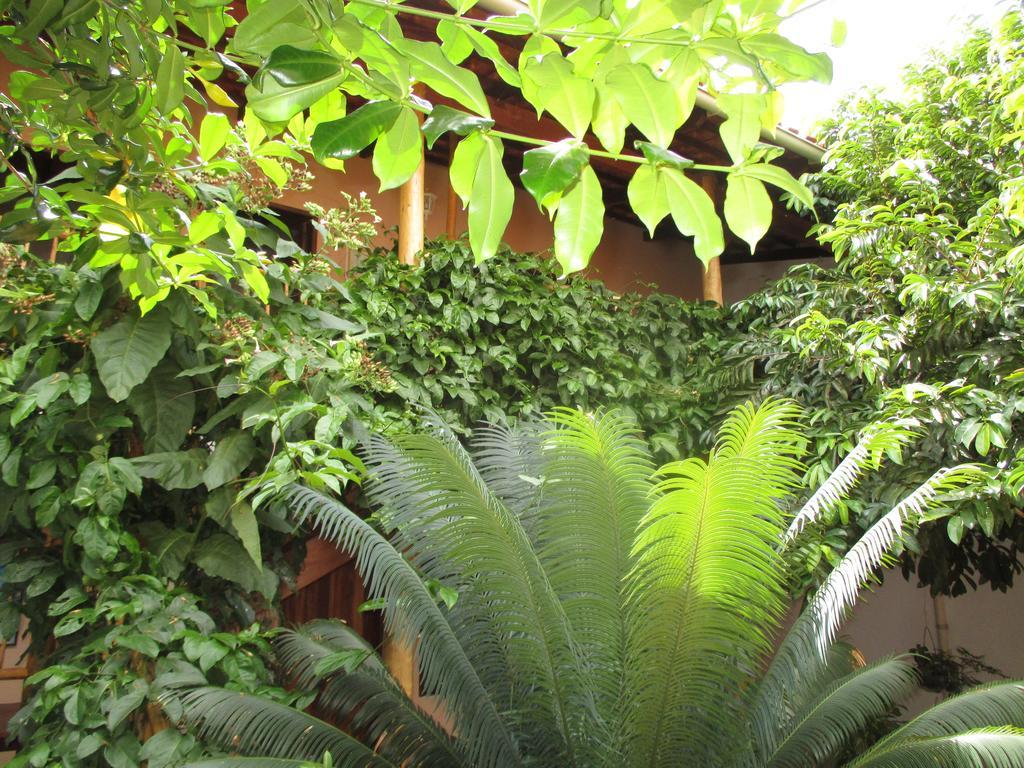 Pousada Casa De Nomades Vale do Capao Exteriör bild